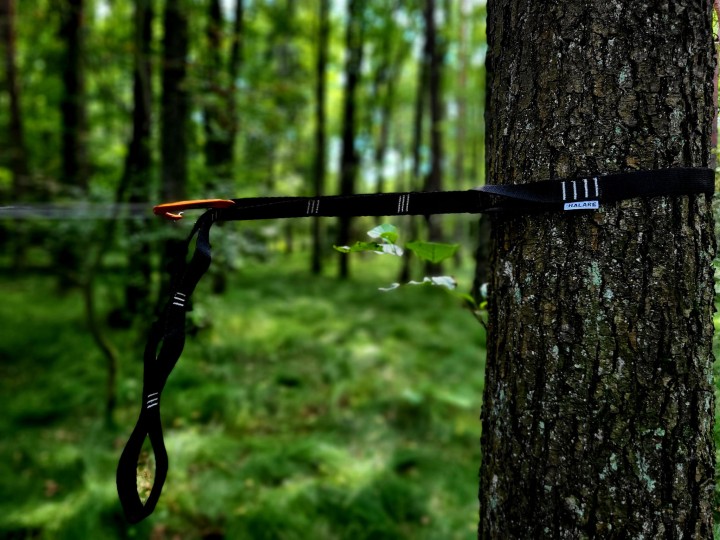 Taśmy Halare Tree Huggers Chain
