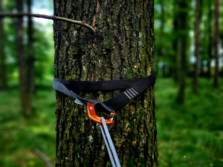 Taśmy Halare Tree Huggers