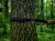 Taśmy Halare Tree Huggers