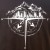 Koszulka T-shirt TigerWood Róża Wiatrów Brązowa