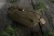 Hamak Kempingowy TigerWood Bizon Olive Long 350 cm