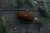 Termo Tarp StingRay 3,6 x 2,8 - Brown