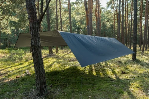 2e201f487e7a047fbcd6dce317d3d964